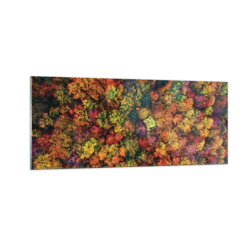 Billede på glas - Buket af efterårstræer - 100x40 cm