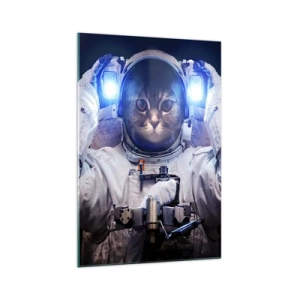 Billede på glas - Houston, I har et problem - 70x100 cm