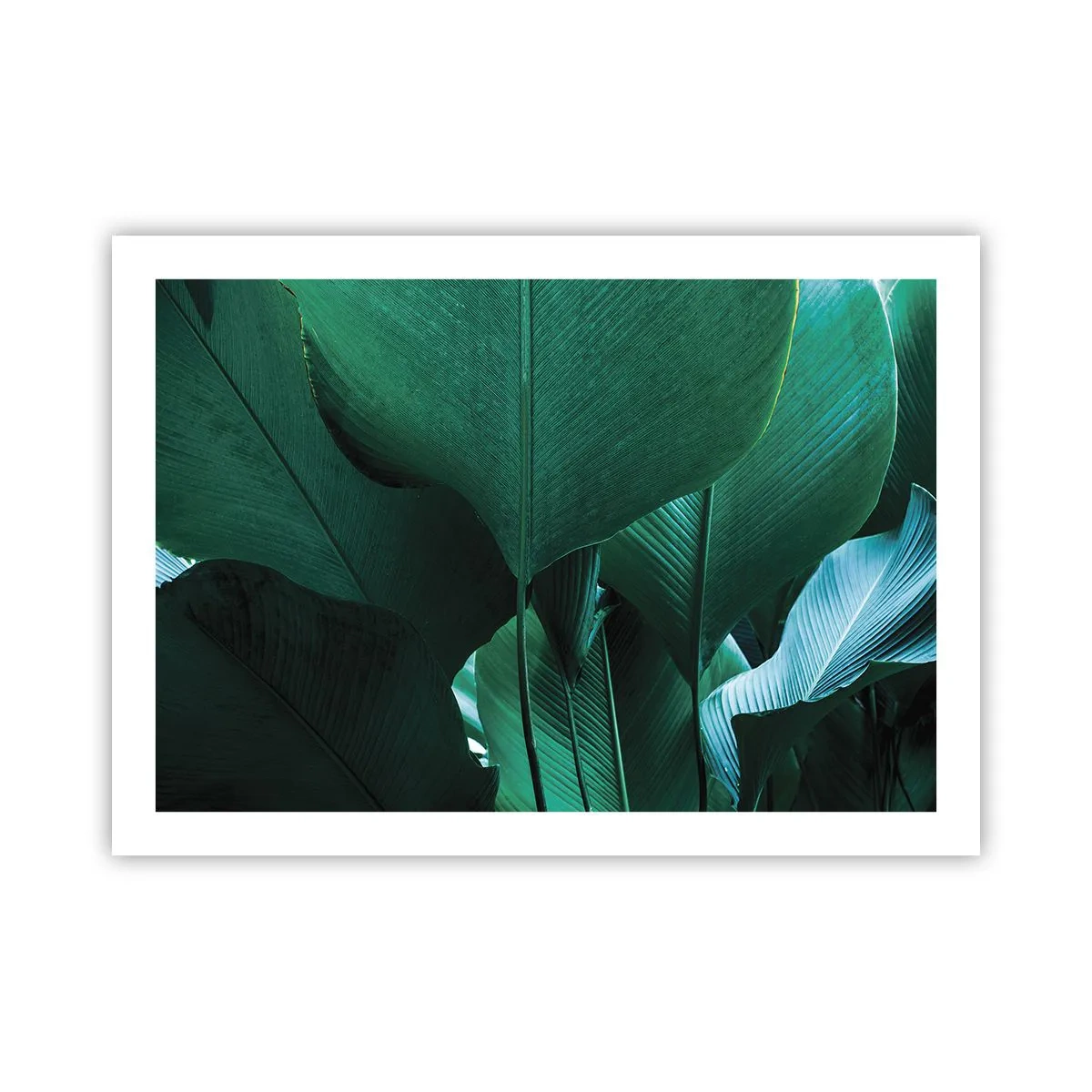 Plakat - Mod lyset - 70x50 cm