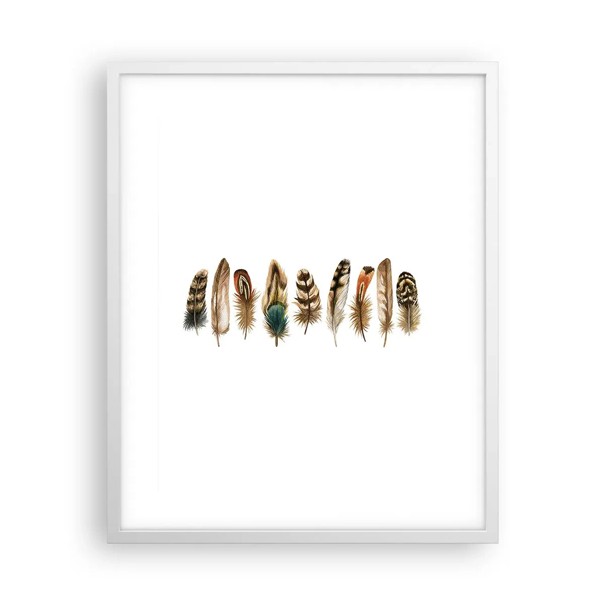 Plakat i hvid ramme - Variation med fjer - 40x50 cm