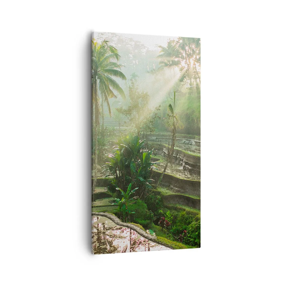 Lærredstryk - Billede på lærred - Voksende op i solen - 55x100 cm