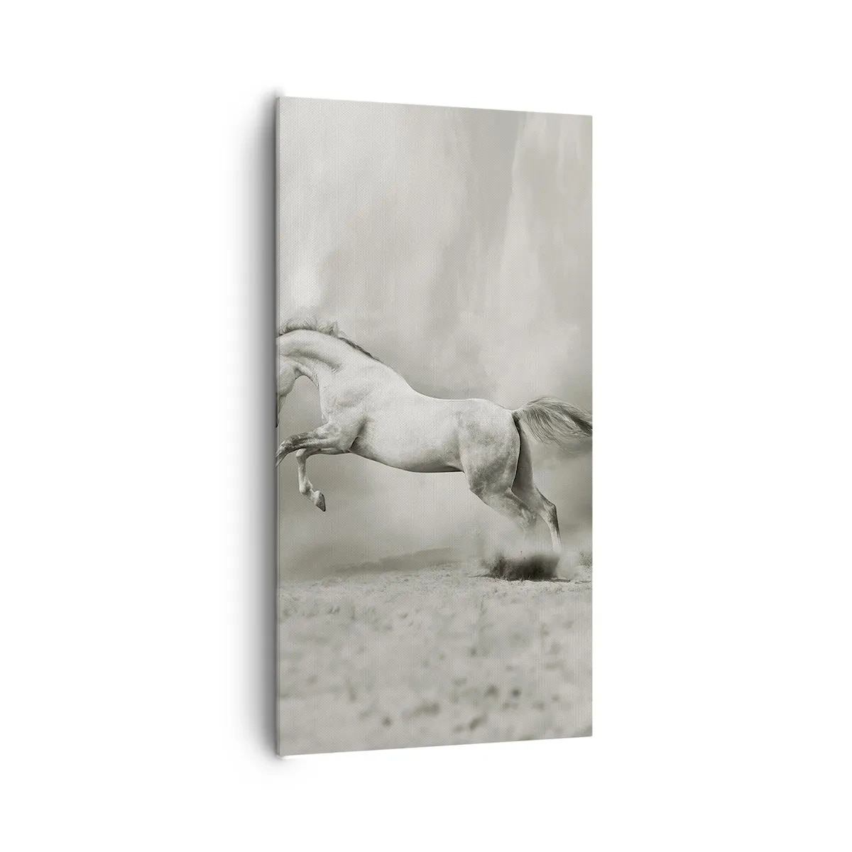 Lærredstryk - Billede på lærred - Mellem vågenhed og drømme - 65x120 cm