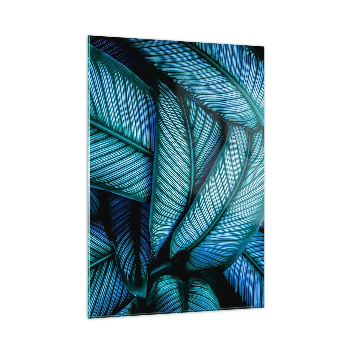 Billede på glas - Livslinjer - 50x70 cm