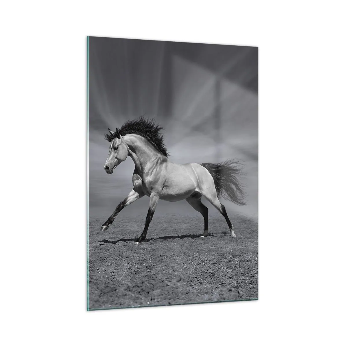Billede på glas - Født til glæde - 50x70 cm