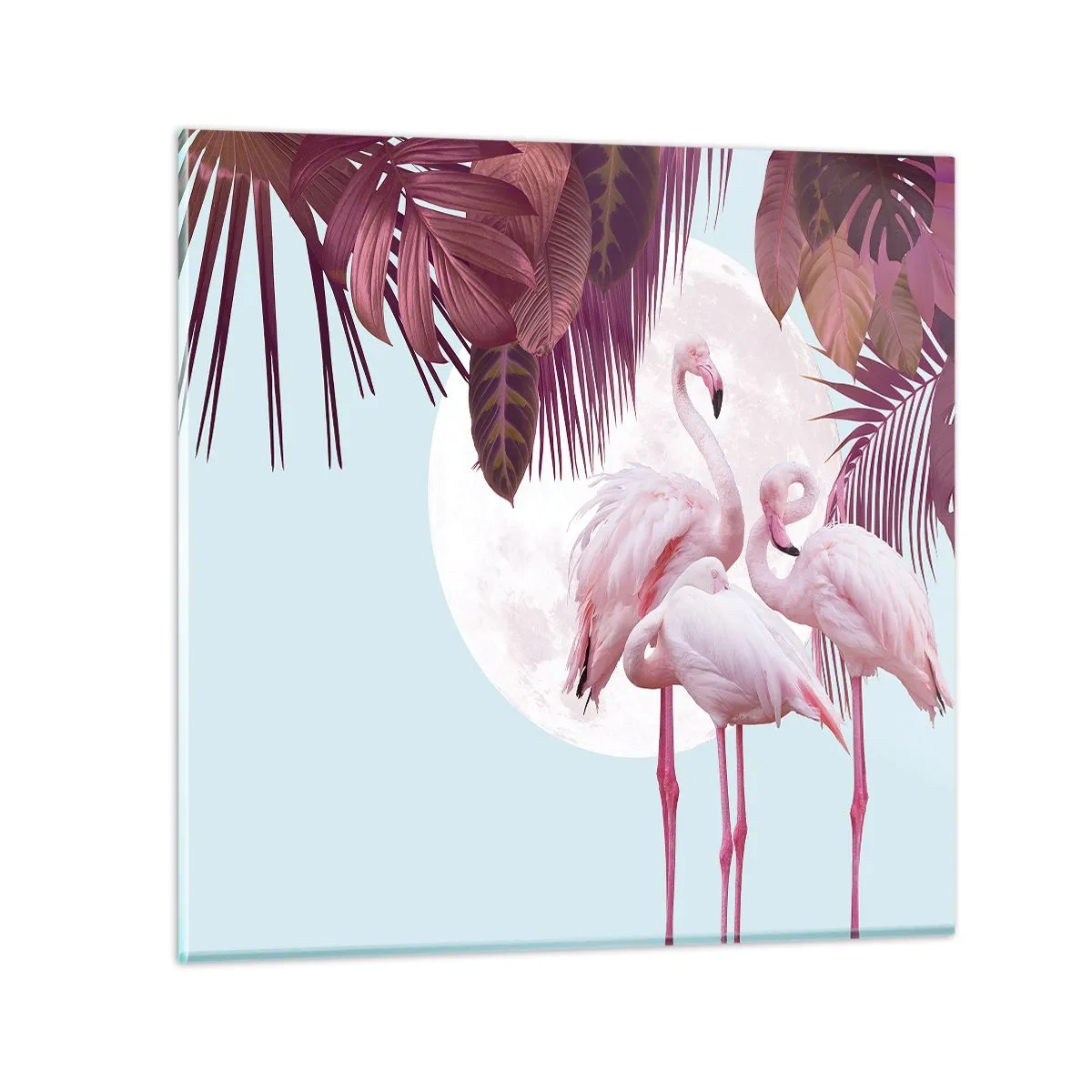 Billede på glas - Tre fugles ynde - 70x70 cm