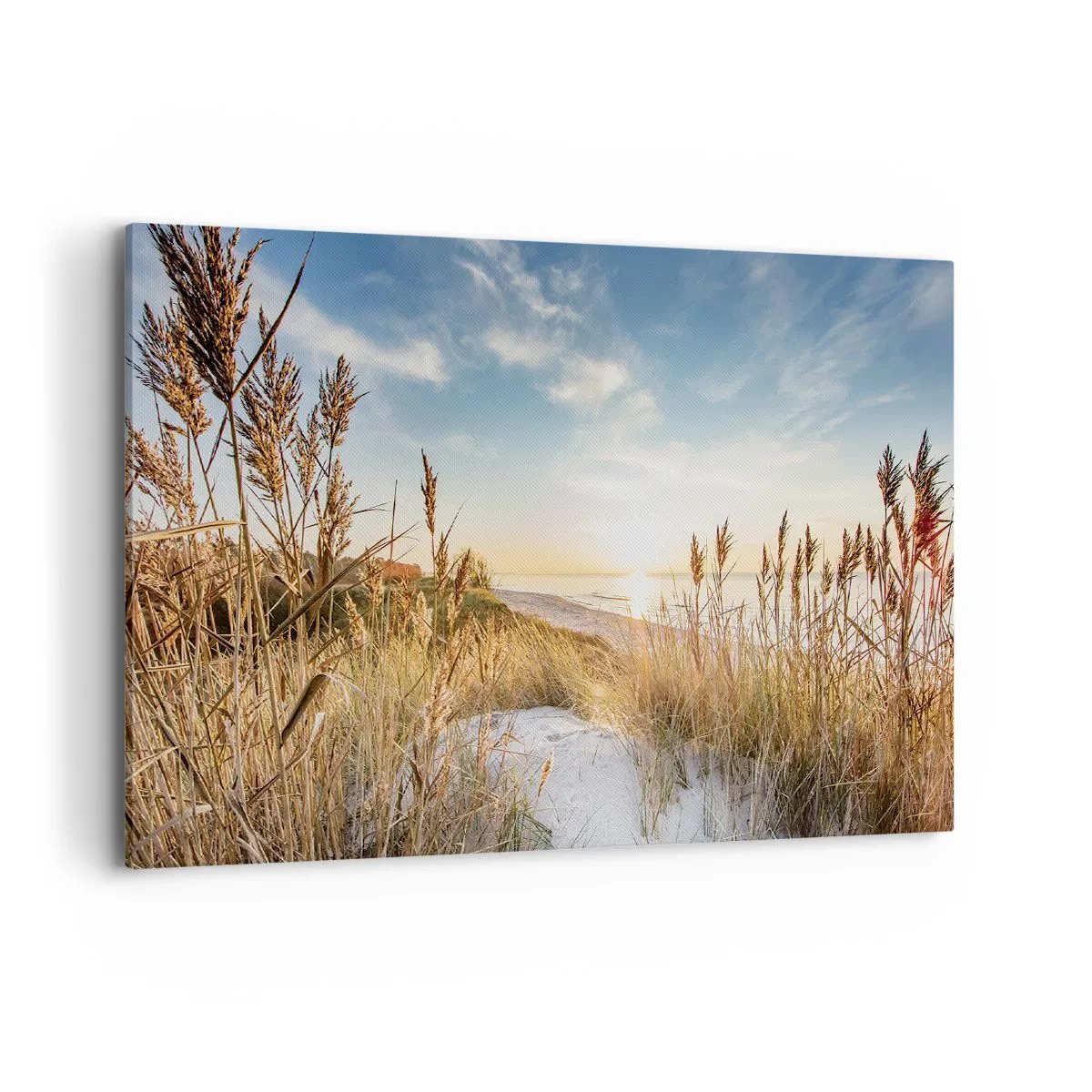 Lærredstryk - Billede på lærred - Nordstrand - 100x70 cm