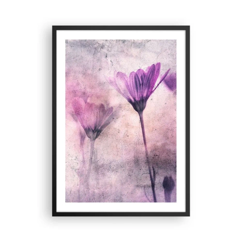 Plakat i sort ramme - Fine blomster i nuancer af lyserød og lilla på en lys baggrund - 50x70cm - En drøm af blomster - Moderne vægdekoration til stue og soveværelse ARTTOR