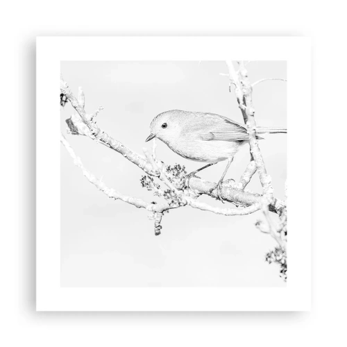 Plakat - Vintermorgen - 40x40 cm