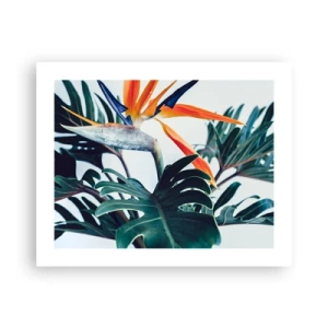 Plakat - Fuglebur - 50x40 cm