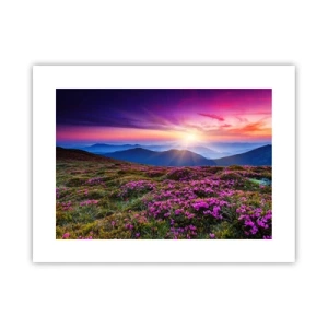 Plakat - Urter duftede friske bundter fra niw - 40x30 cm