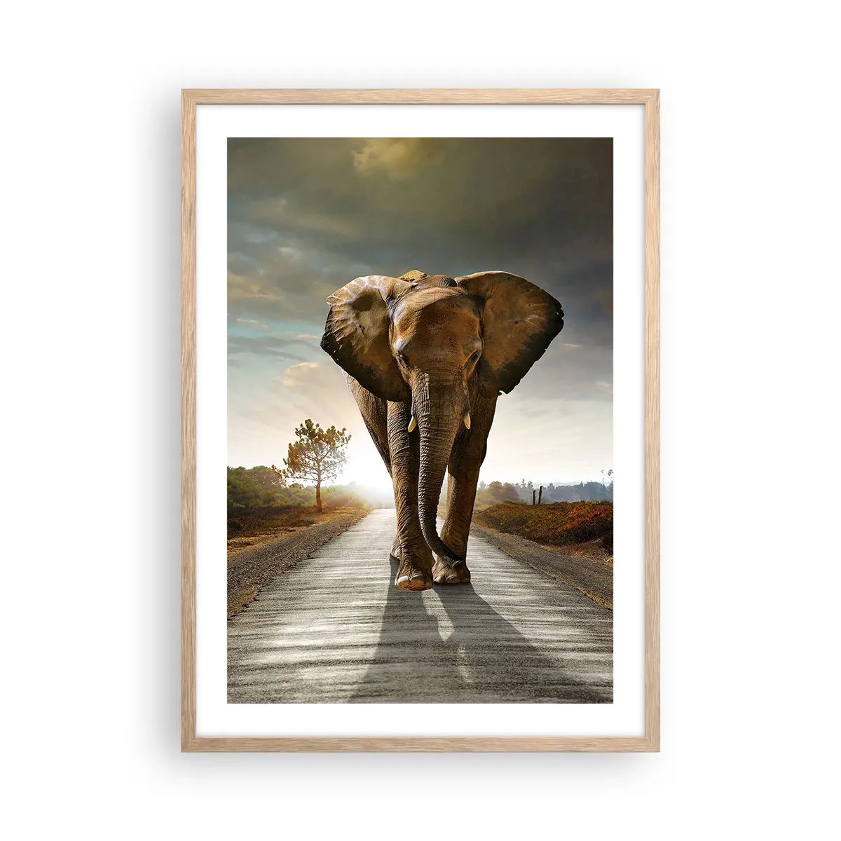 Plakat i ramme af lyst egetræ - Og slet ikke i en porcelænsbutik - 50x70 cm