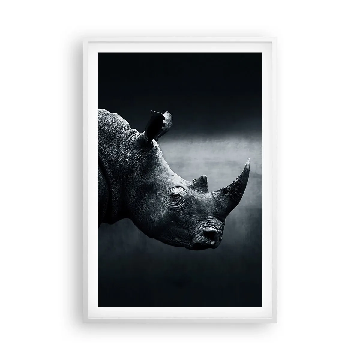Plakat i hvid ramme - Højre profil - 61x91 cm