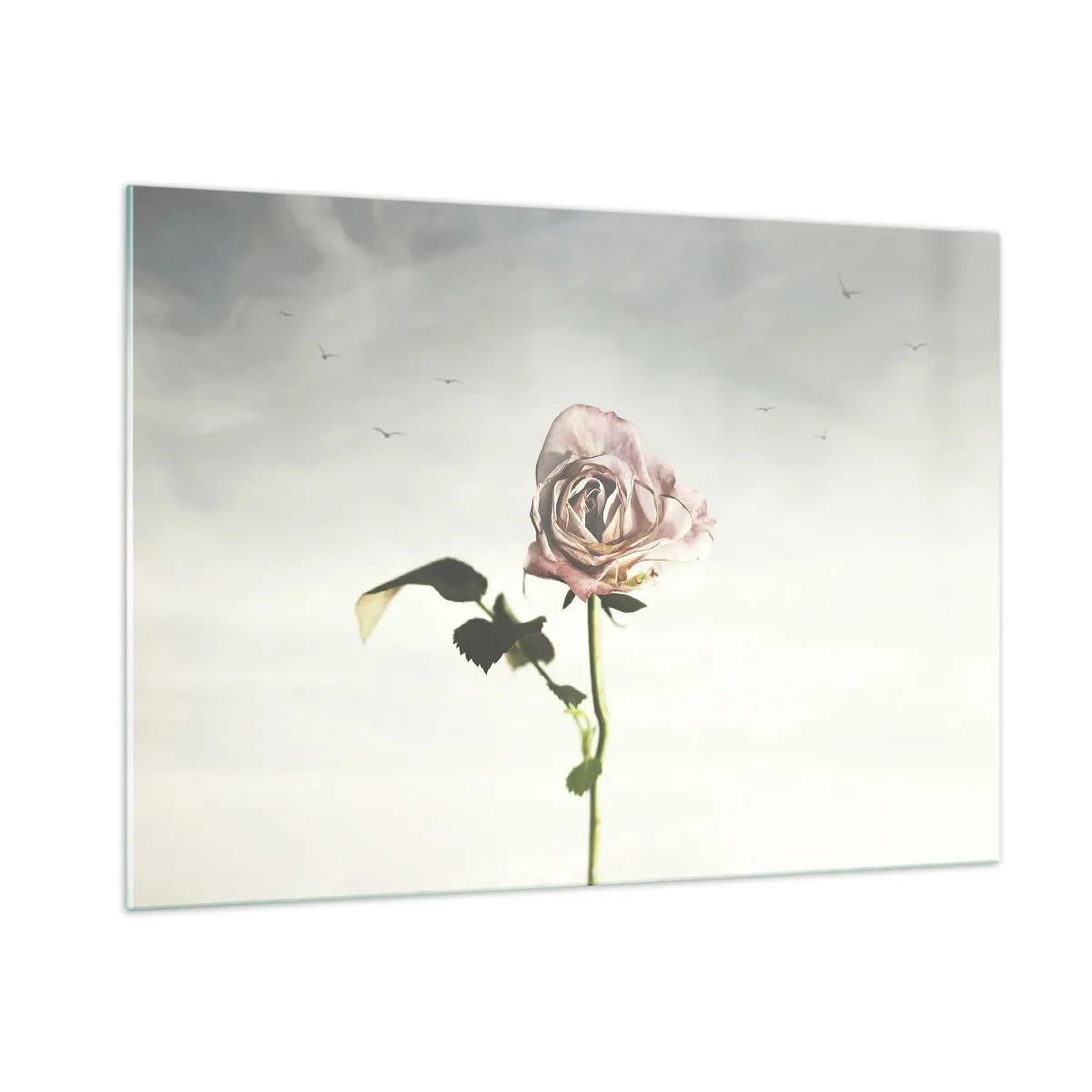 Billede på glas - Velkomst til foråret - 100x70 cm