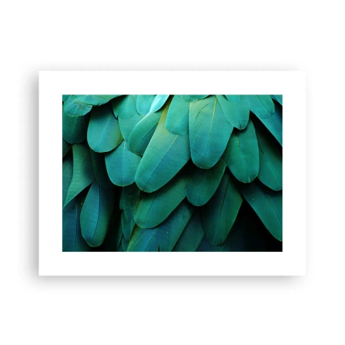Plakat - Papegøjenaturens præcision - 40x30 cm