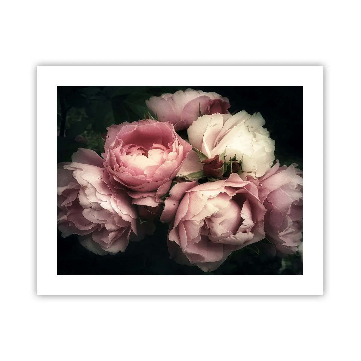 Plakat - Belle epoque charme - 50x40 cm