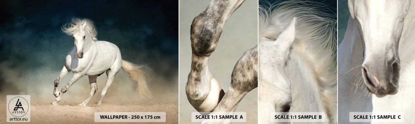 Fototapet Prøve Standard Eco - Frihed i en ren tilstand - Hest, Dyr, hvid - 100x30 cm