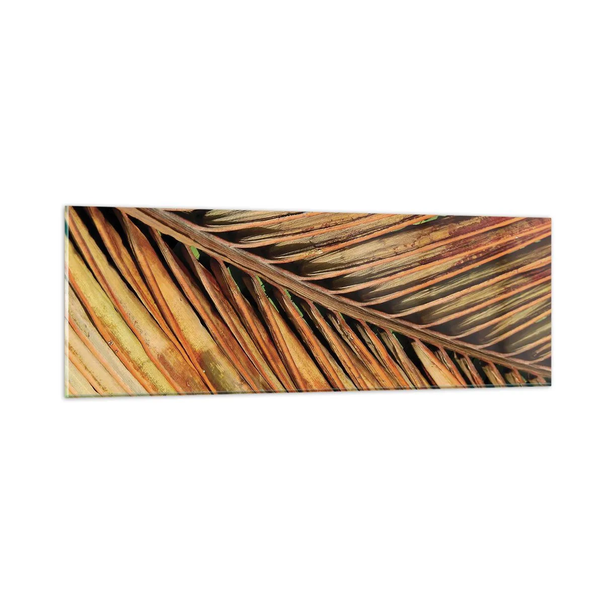 Billede på glas - Kokosnød guld - 90x30 cm