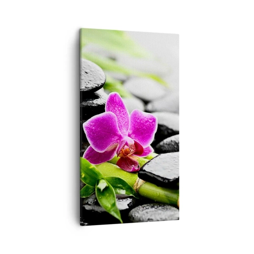 Lærredstryk - Billede på lærred - I en fredelig balance - 45x80 cm