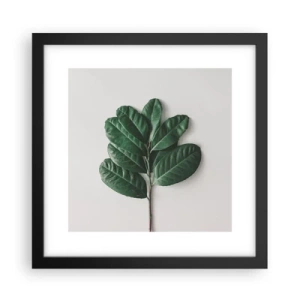 Plakat i sort ramme - Tegning af selve naturen - 30x30 cm