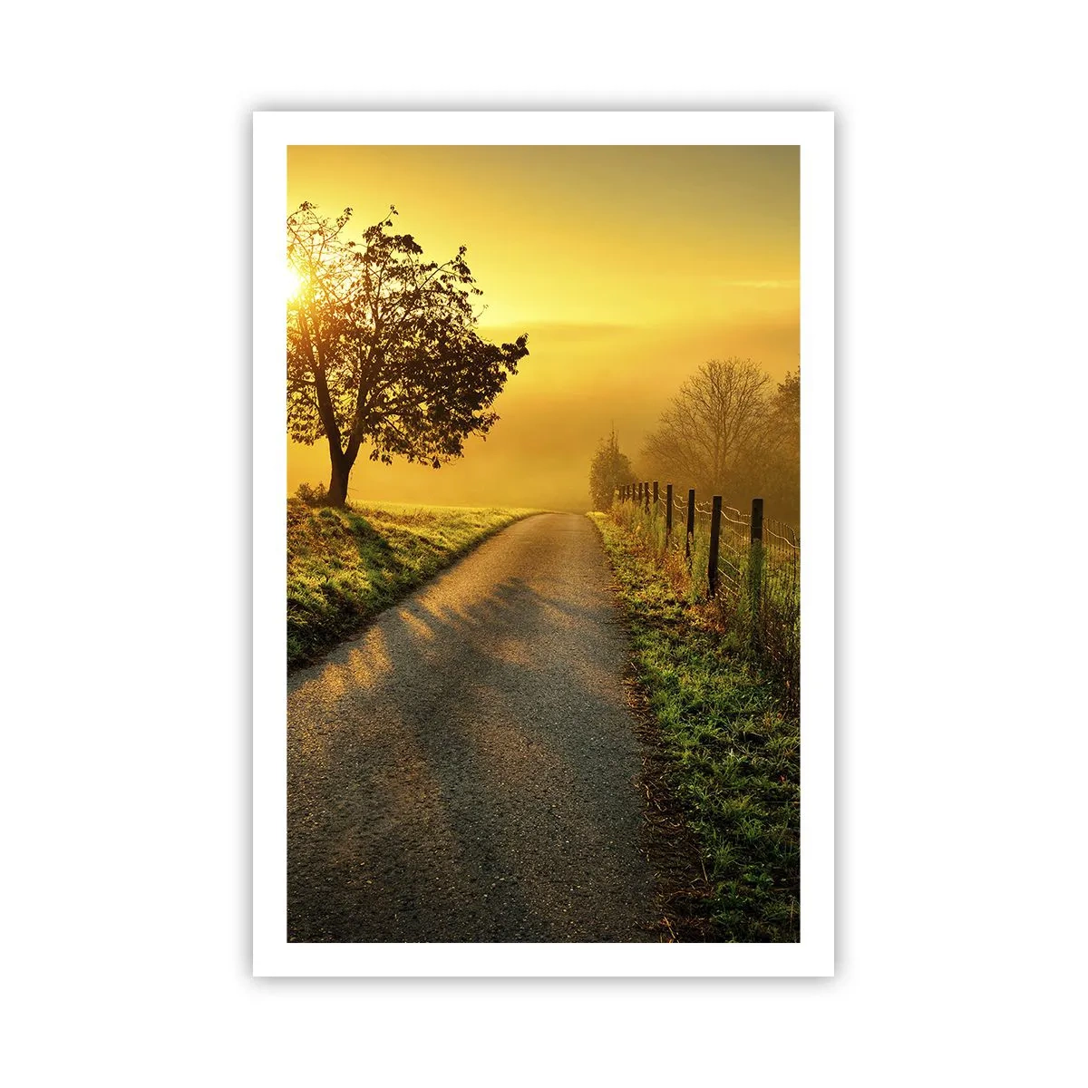 Plakat - Kære eftermiddag - 61x91 cm