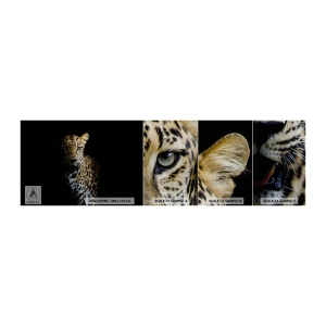 Prøve Fototapet Premium Sand - Mørk skønhed - Dyr, leopard, Vild kat - 100x30 cm