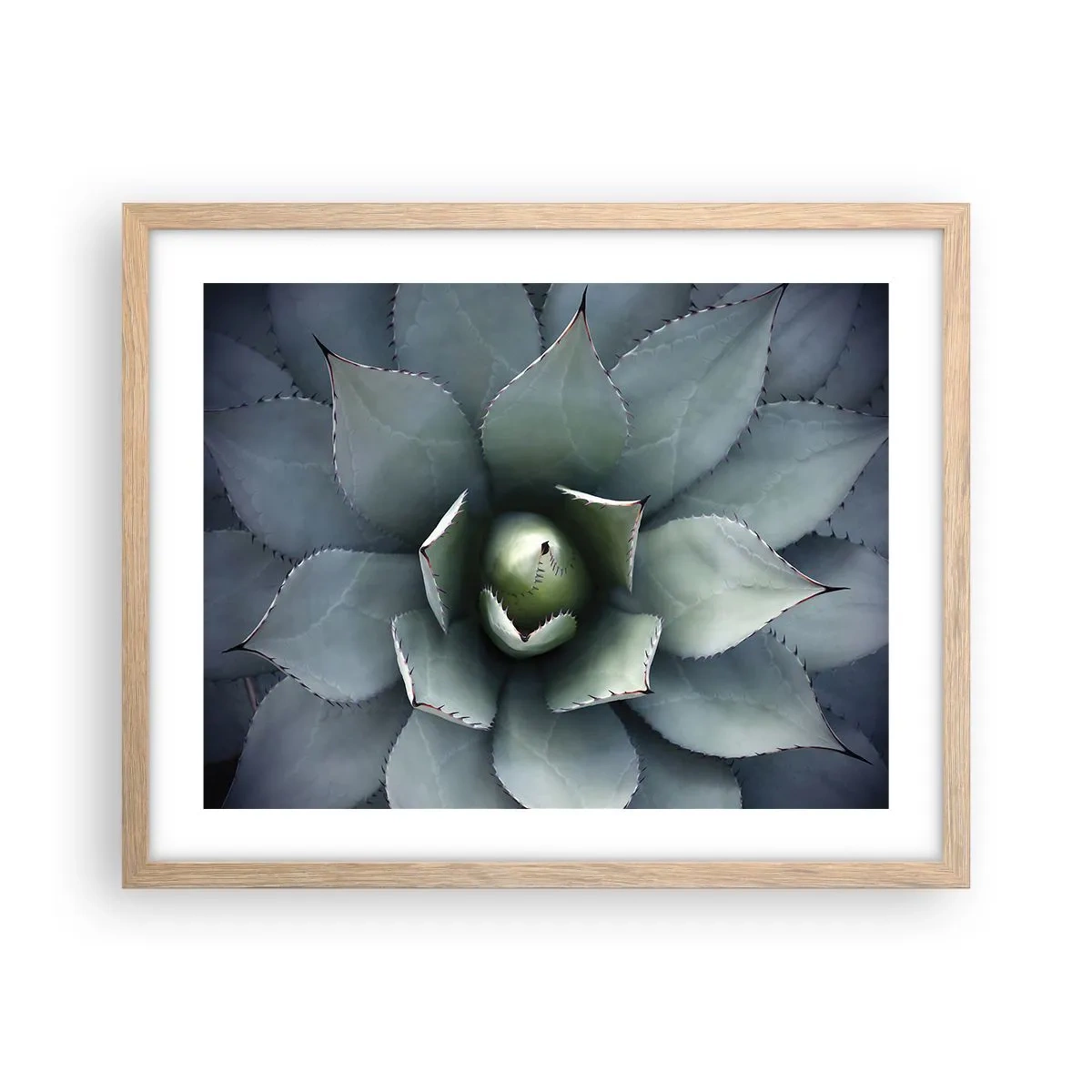 Plakat i ramme af lyst egetræ - Lokkemad og advarsler - 50x40 cm