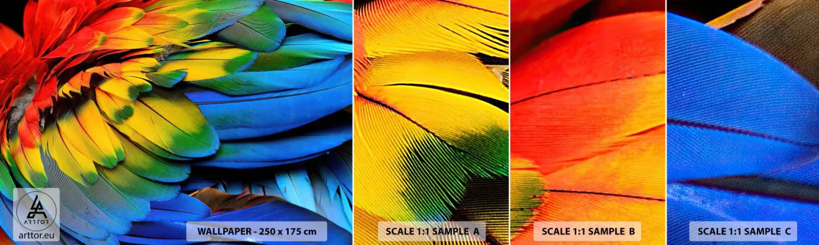 Prøve Fototapet Selvklæbende Deluxe Sticker - Paradisfugl - Farverige fjer, Papegøjefjer, Dyr - 100x30 cm