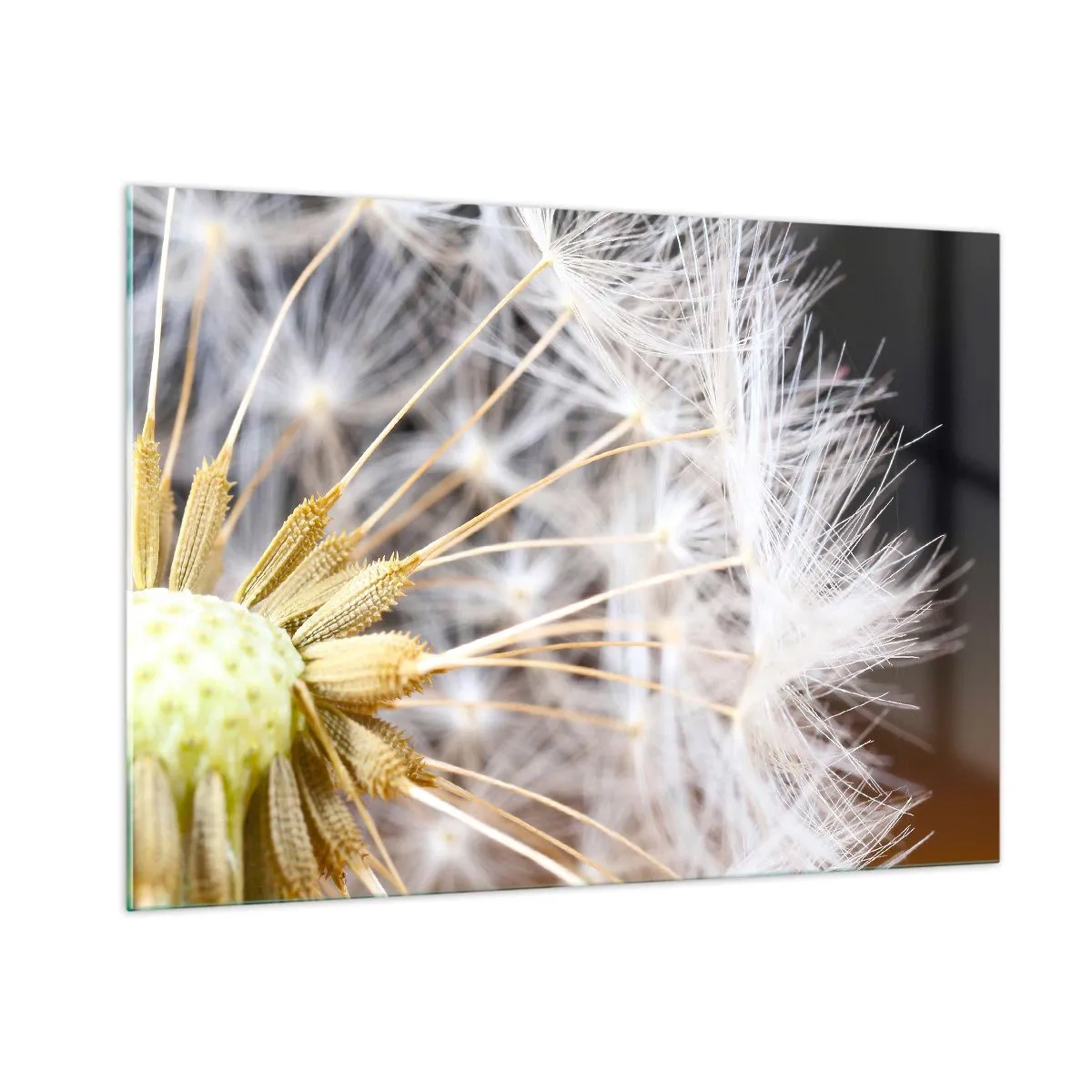 Billede på glas - Lige før afrejse - 100x70 cm