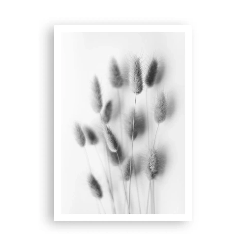 Plakat - Dens bløde græs - 70x100 cm