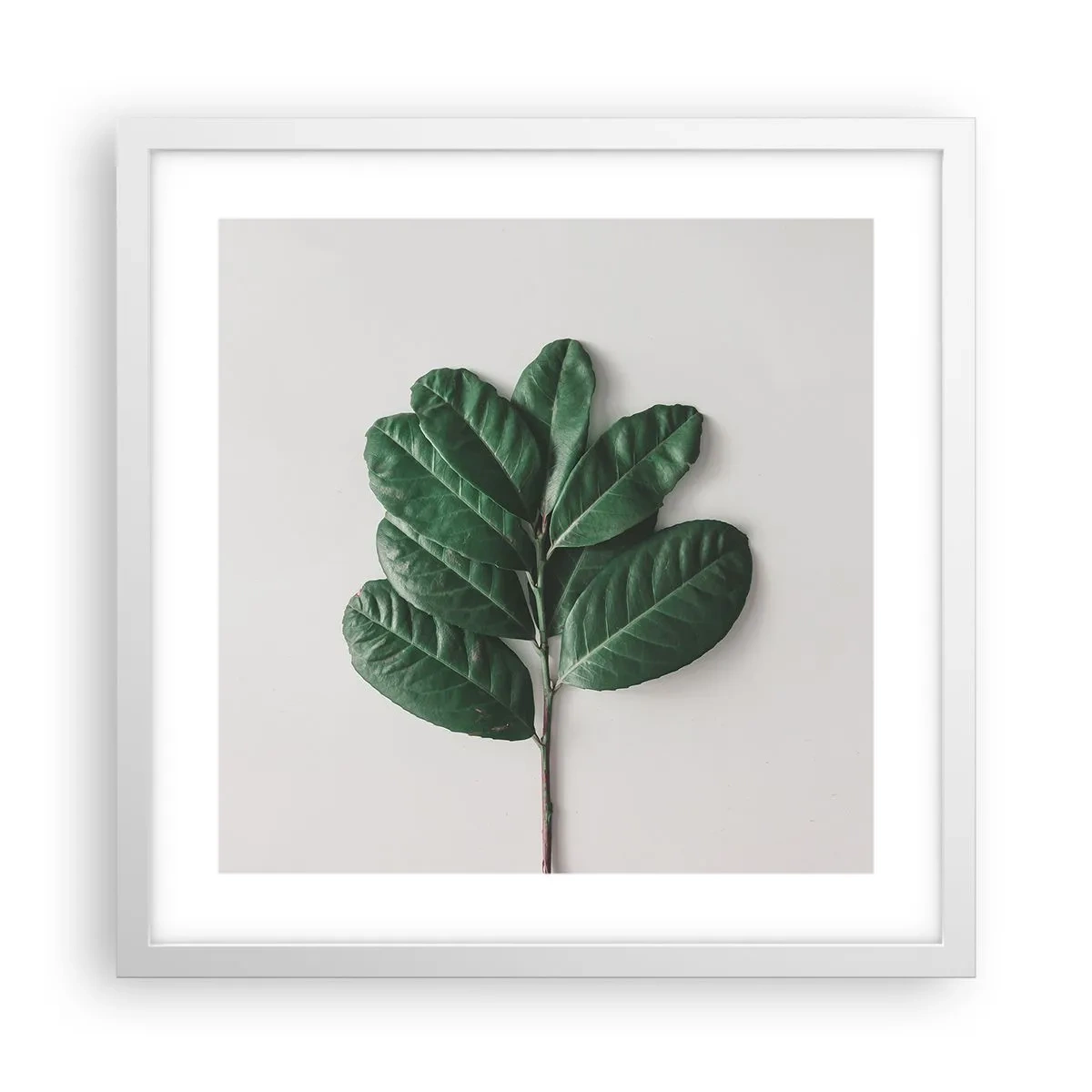 Plakat i hvid ramme - Tegning af selve naturen - 40x40 cm