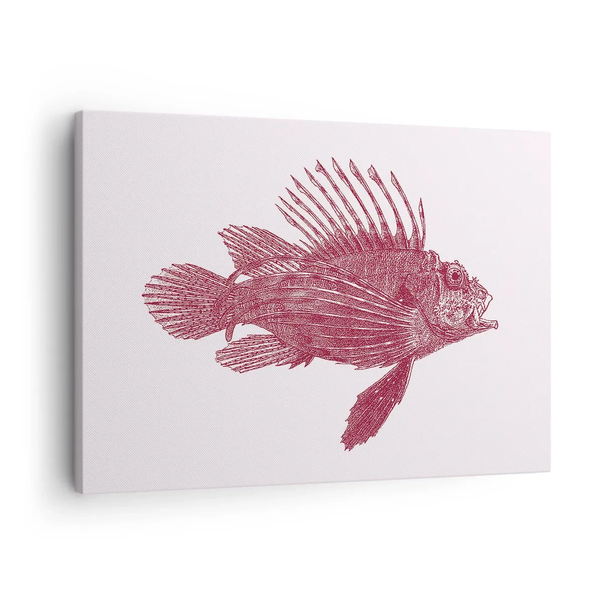 Lærredstryk - Billede på lærred - Tegning af en fisk i en rød nuance - 70x50cm - En beboer i eksotiske farvande - Moderne vægdekoration til stue og soveværelse ARTTOR