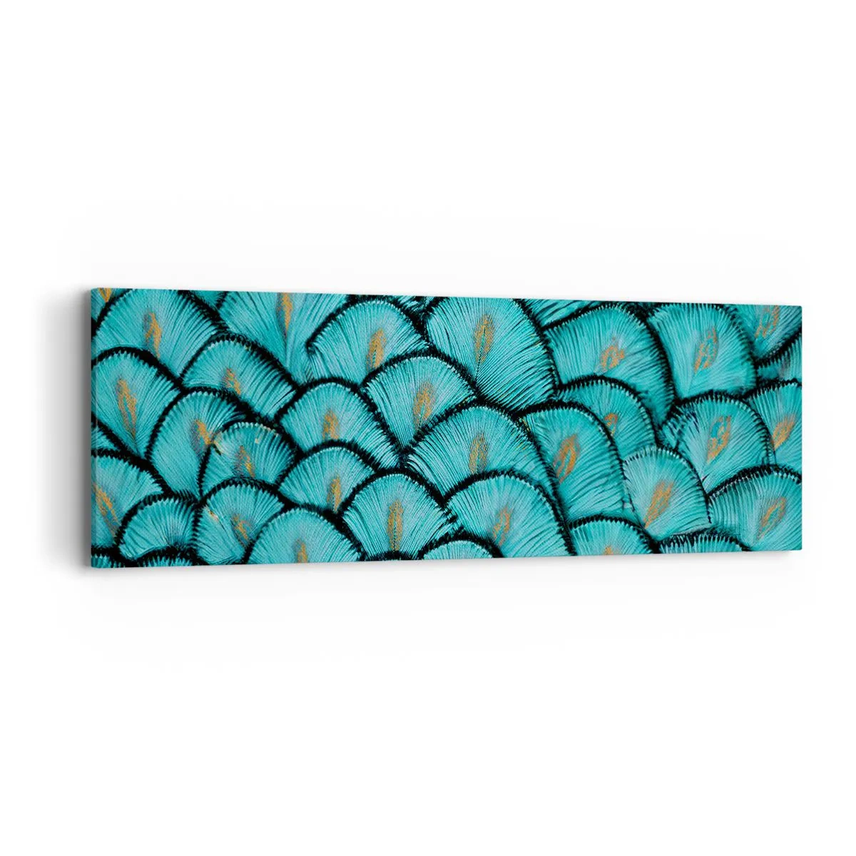 Lærredstryk - Billede på lærred - Den store fjer-galla - 90x30 cm