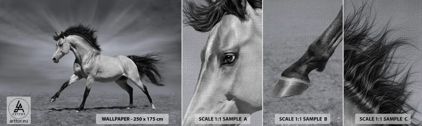 Prøve Fototapet Premium Canvas - Født til glæde - Dyr, Hest, Natur - 100x30 cm