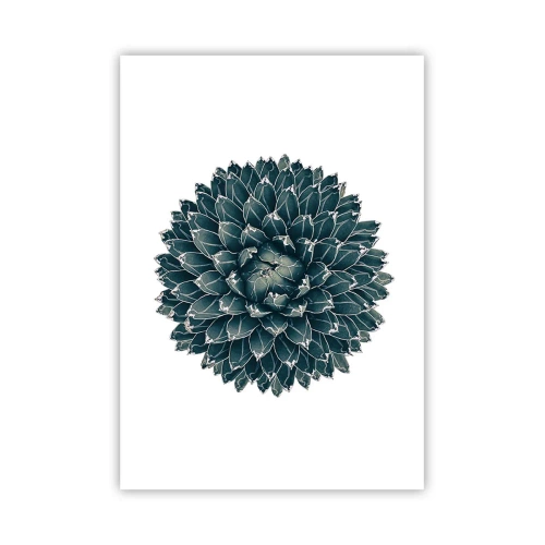 Plakat - Ørkenstjerne - 70x100 cm