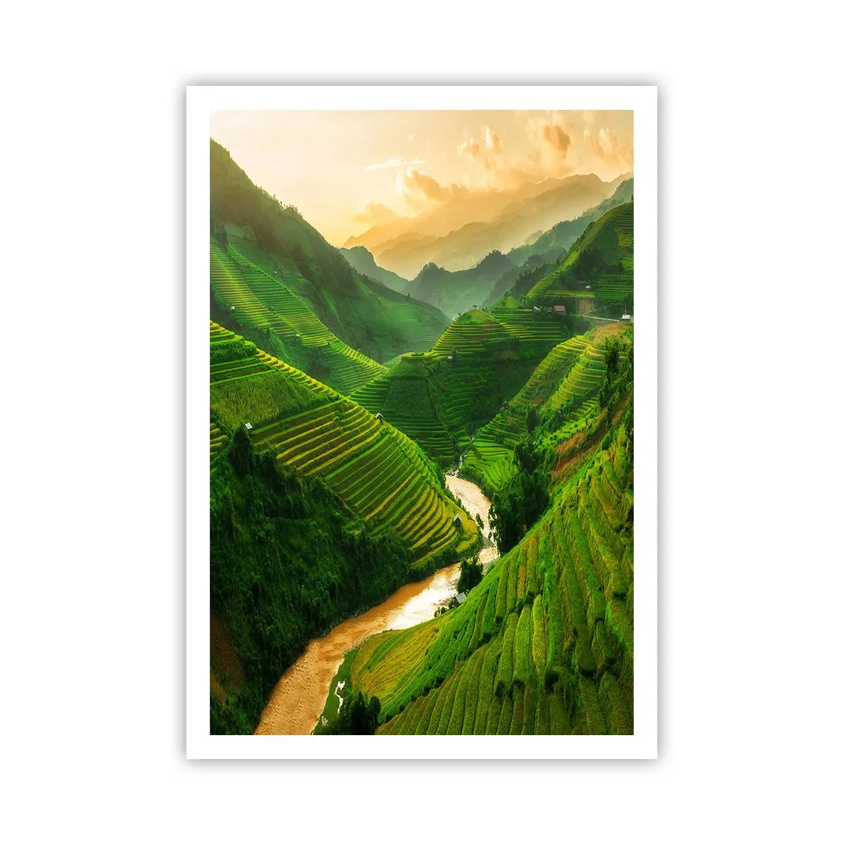 Plakat - Vietnamesisk dal - 70x100 cm