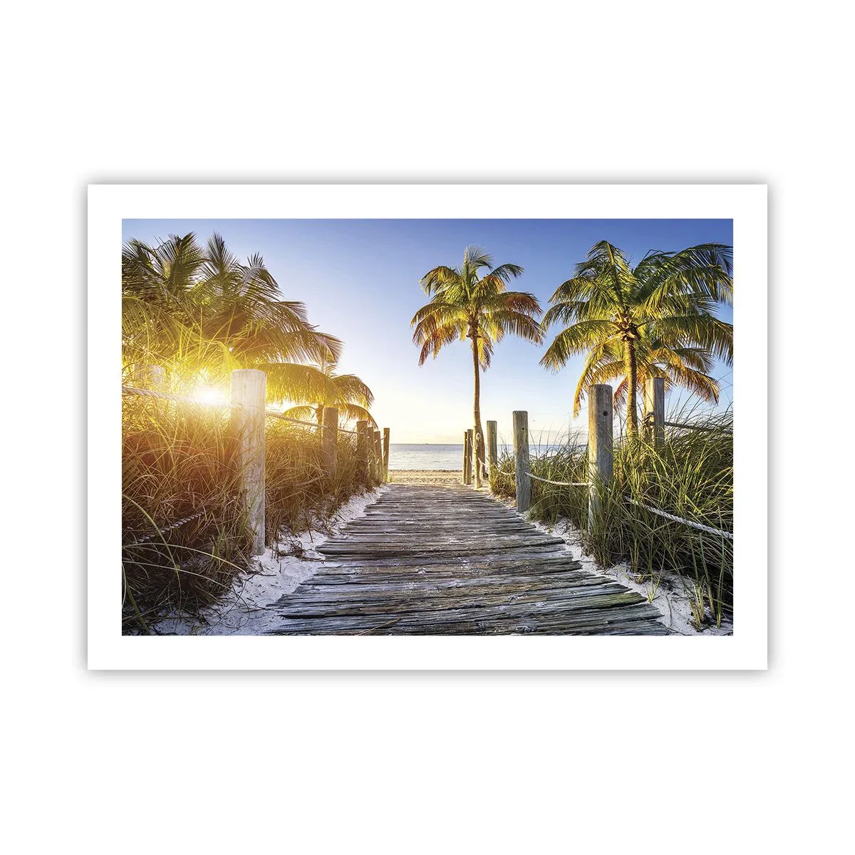Plakat - Direkte til paradis - 70x50 cm