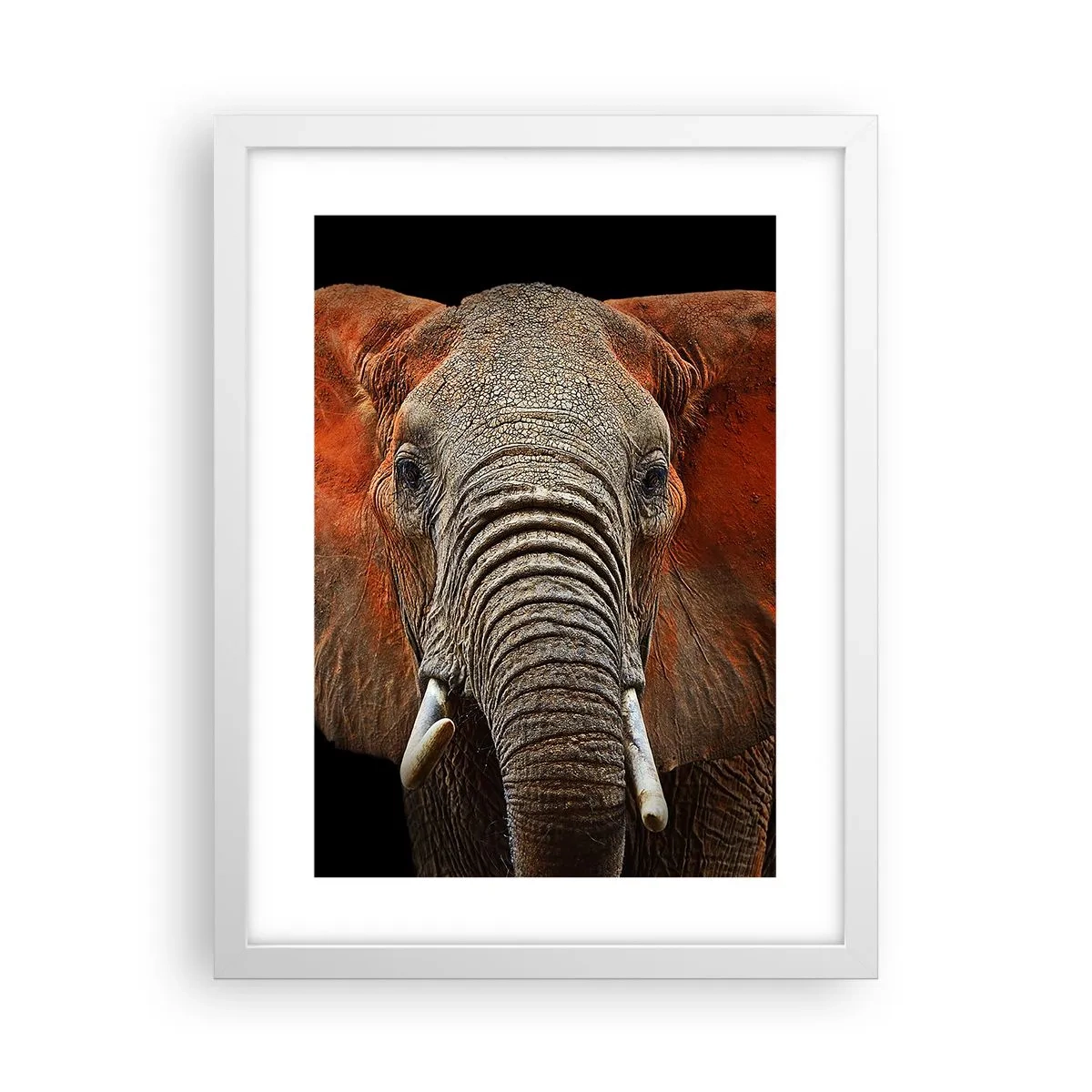 Plakat i hvid ramme - Jeg er vild, er du? - 30x40 cm