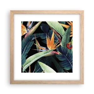 Plakat i ramme af lyst egetræ - Flammeblomster i troperne - 30x30 cm