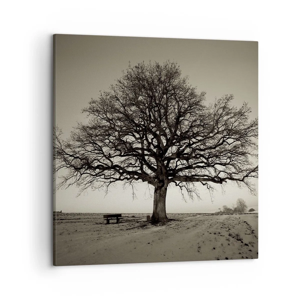 Lærredstryk - Billede på lærred - Herfra og til evigheden - 50x50 cm