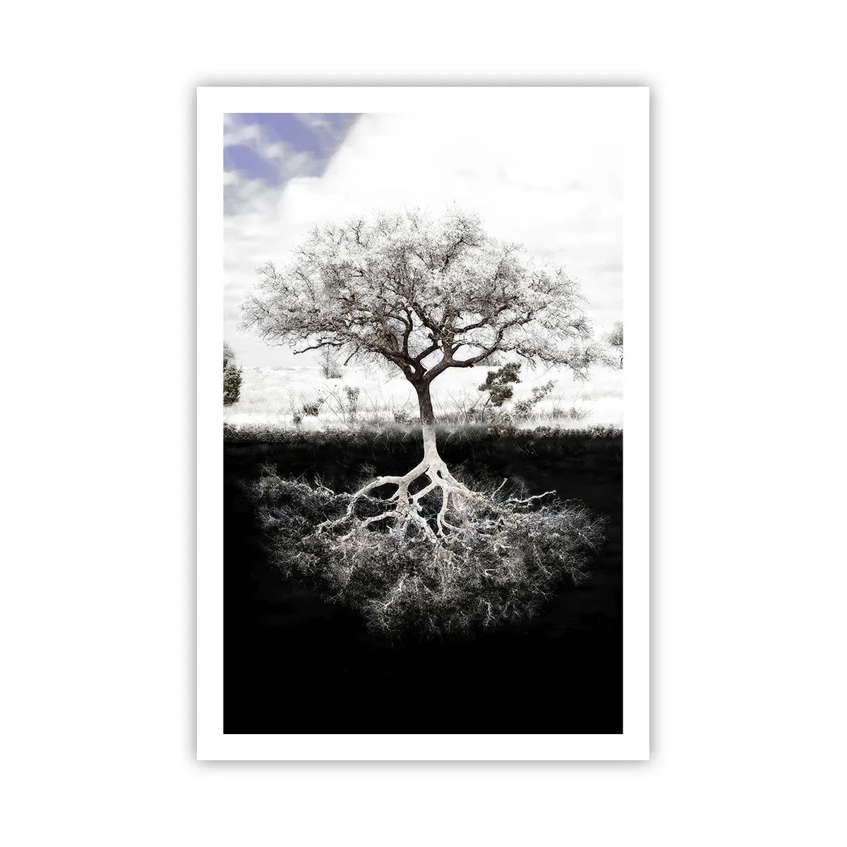 Plakat - Opdagelse af verdens natur - 61x91 cm