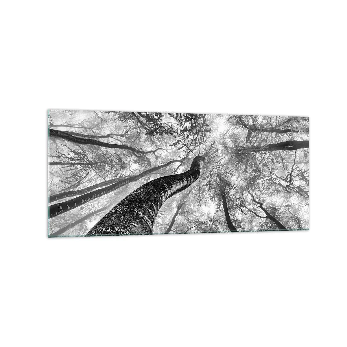 Billede på glas - Kapløb mod lyset - 120x50 cm