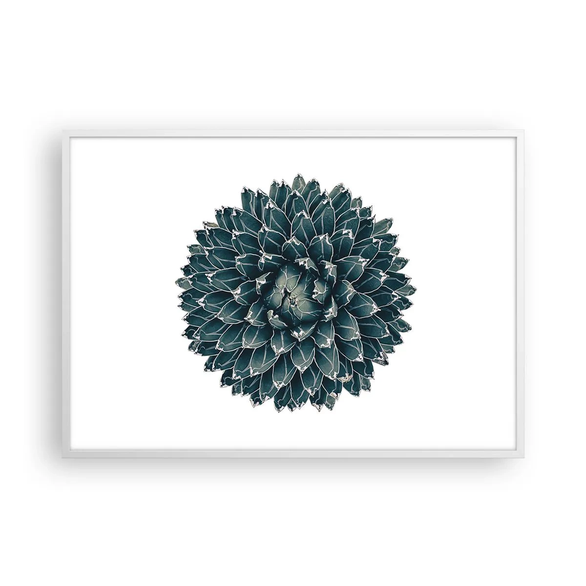 Plakat i hvid ramme - Ørkenstjerne - 100x70 cm