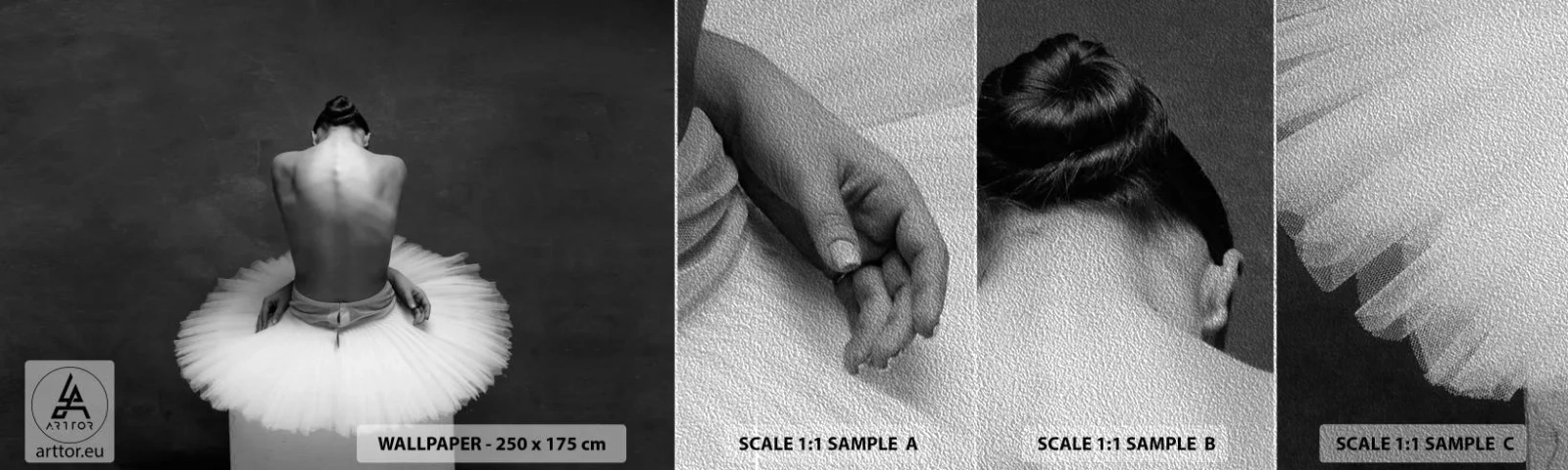 Prøve Fototapet Premium Sand - Blomstrer nu - Ballerina, Dans, Ballet - 100x30 cm