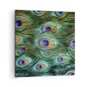 Lærredstryk - Billede på lærred - En påfugls blik - 50x50 cm