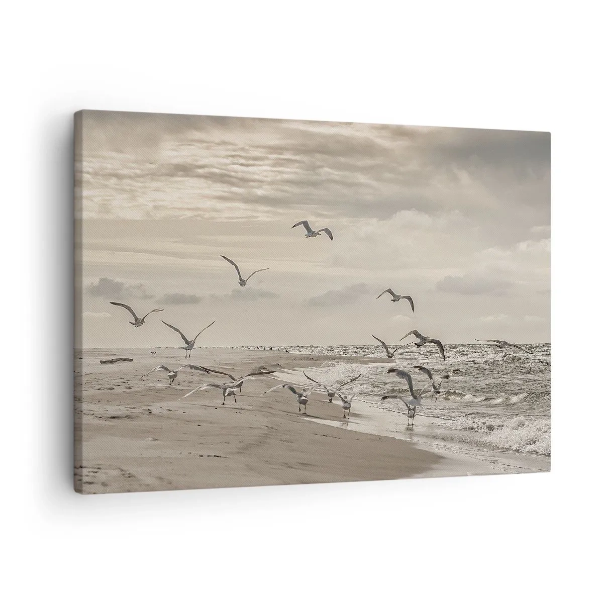 Lærredstryk - Billede på lærred - En måge i flugt over et kystlandskab - 70x50cm - Havet brummer, fuglene synger - Moderne vægdekoration til stue og soveværelse ARTTOR