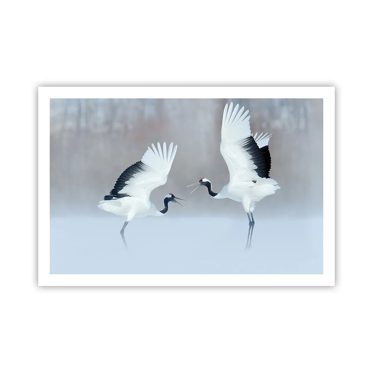 Plakat - Danser i tågen - 91x61 cm