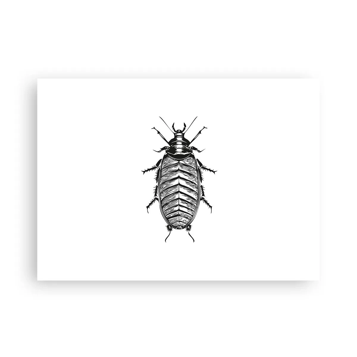 Plakat - Sikke et eksemplar! - 70x50 cm