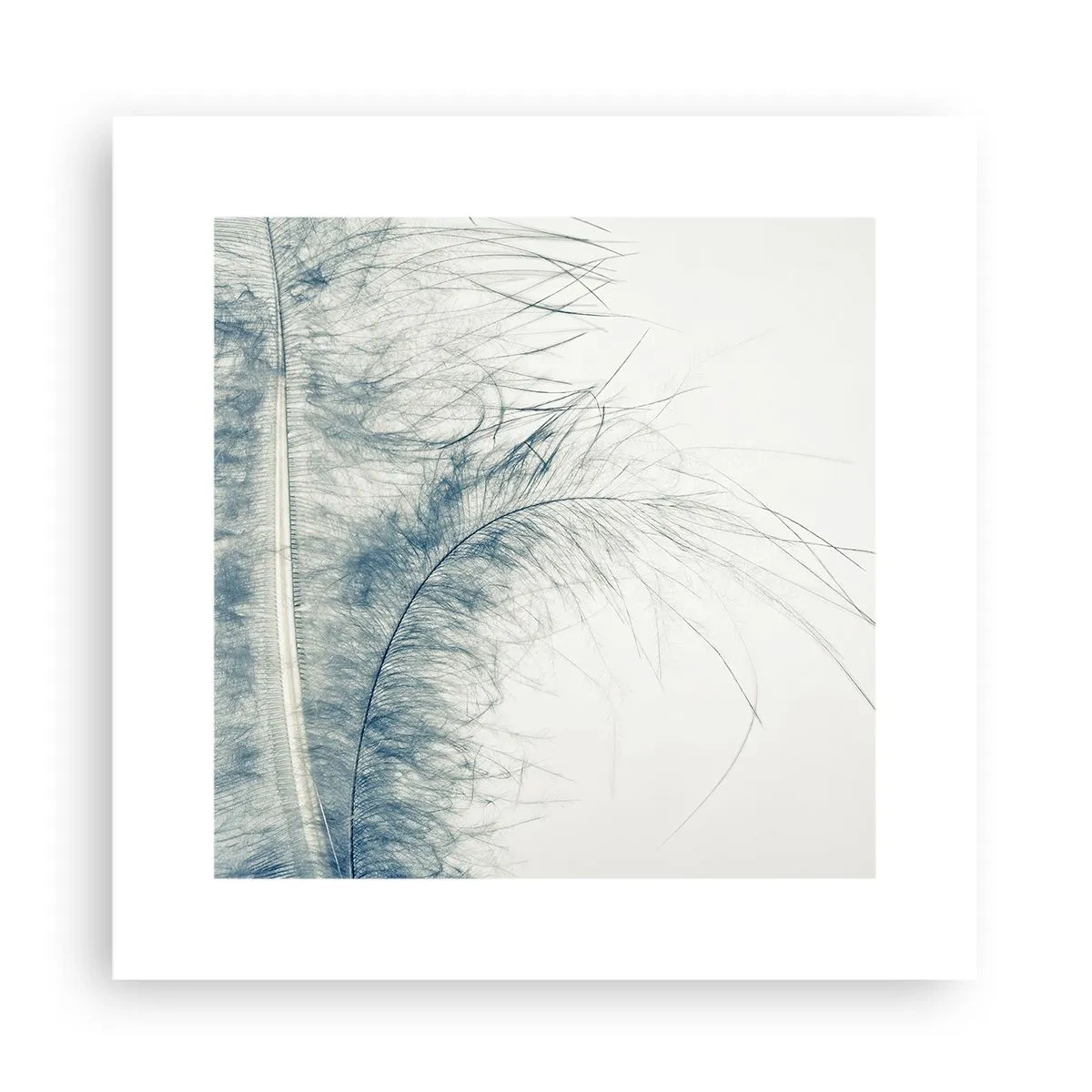 Plakat - Naturens hvisken - 30x30 cm