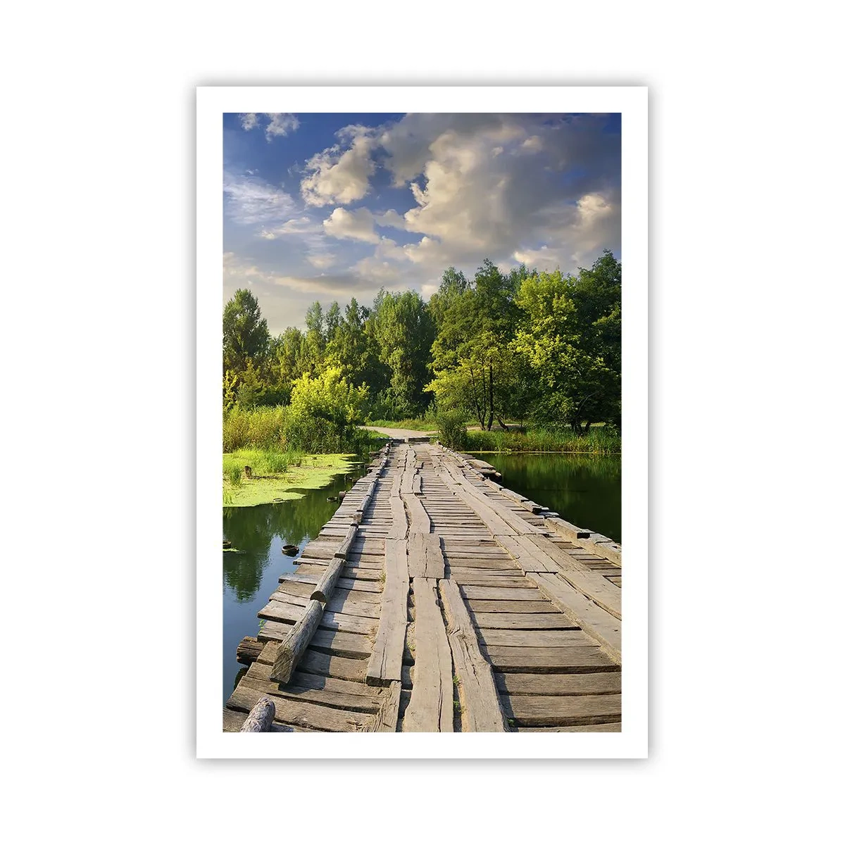 Plakat - Sommer, sommer overalt - 61x91 cm