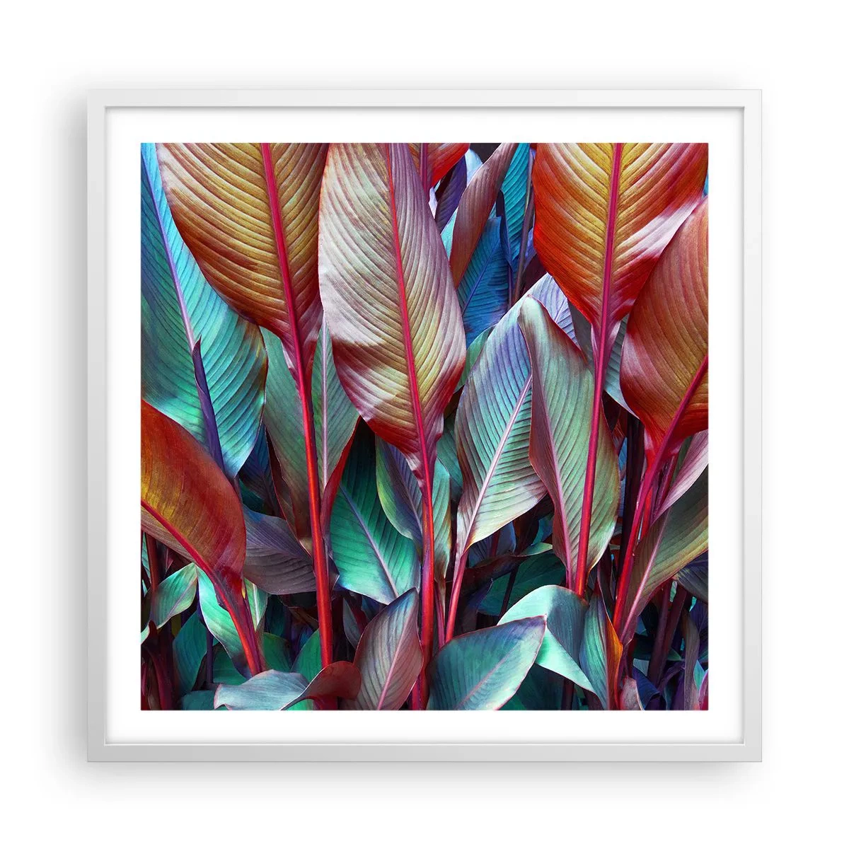 Plakat i hvid ramme - Farverigt krat - 60x60 cm